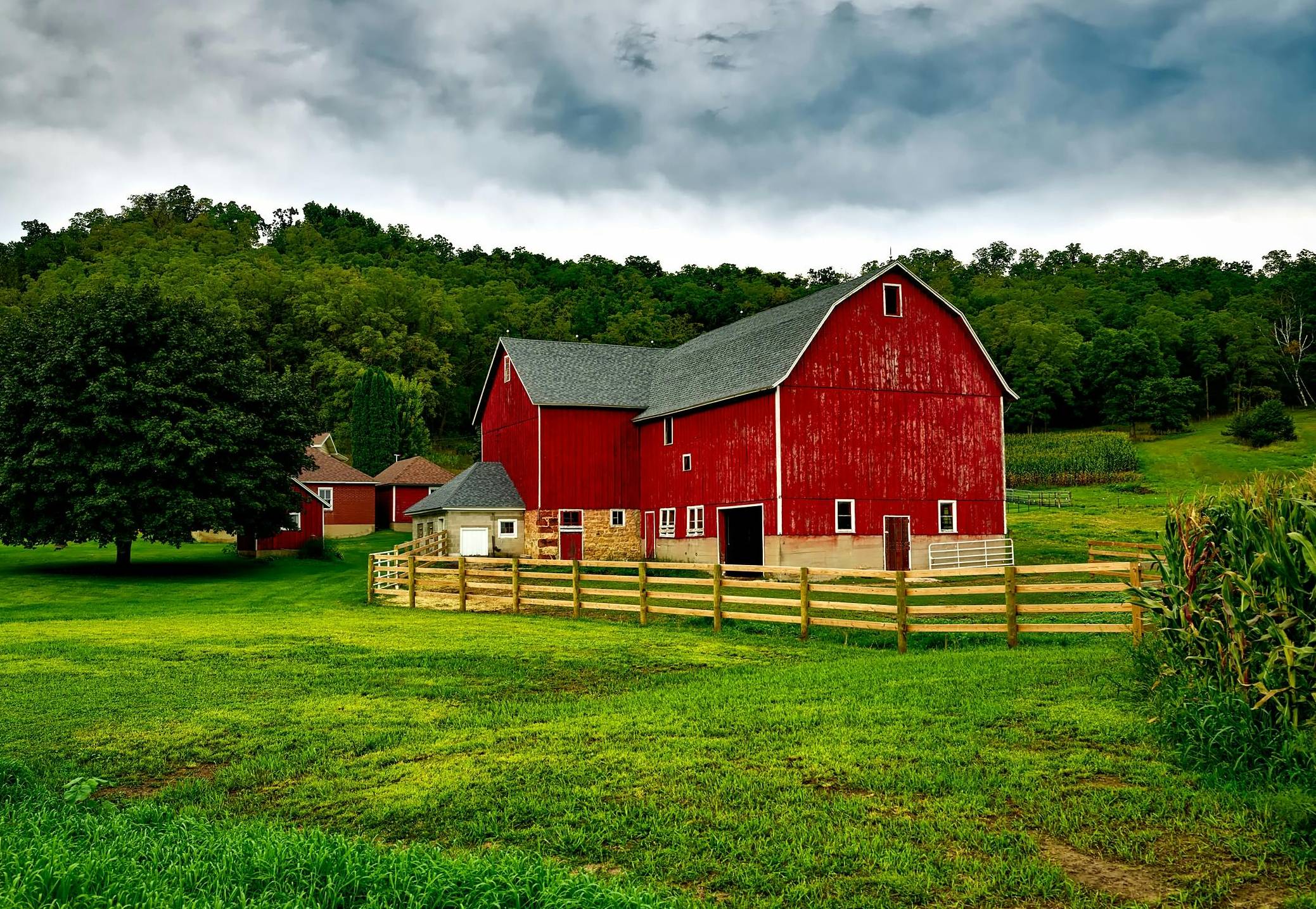 Farm